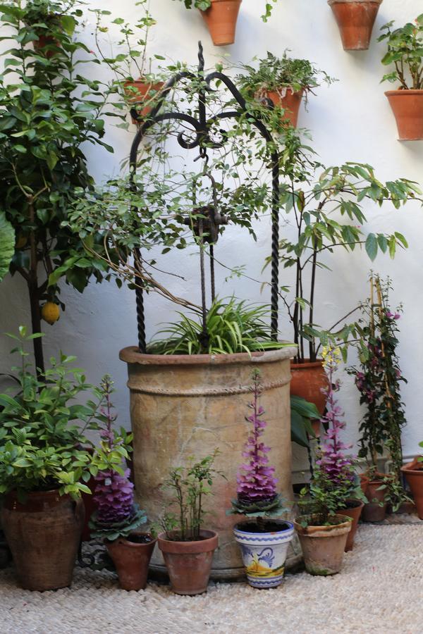 Casa Longa Hotel Cordoba Luaran gambar
